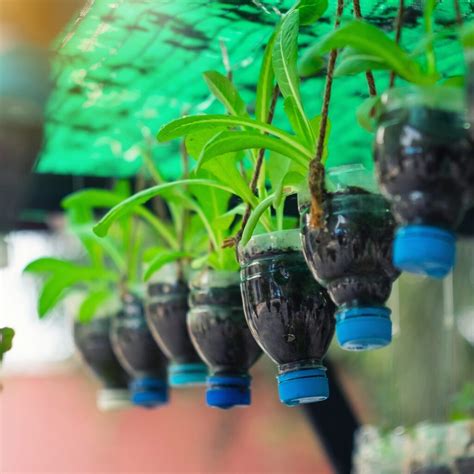 Porta piante fatti con bottiglie di plastica decorate come animali