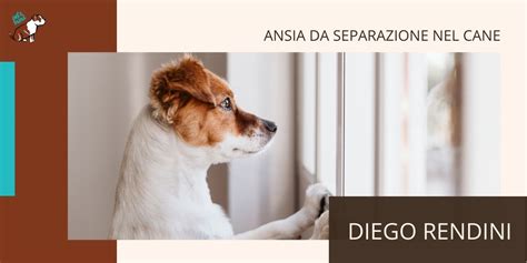 Un cane che mostra segni di ansia da separazione.