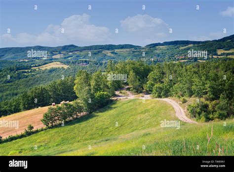 Paesaggio rurale emiliano