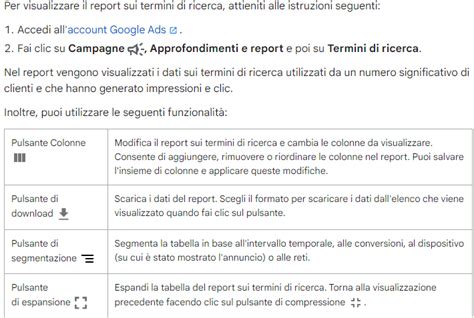 Esempio di report dei termini di ricerca nelle campagne DSA