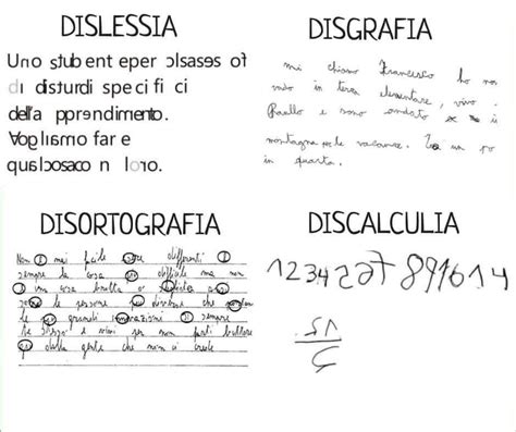 Diagramma che illustra le diverse aree dei DSA: Dislessia, Disortografia, Disgrafia, Discalculia