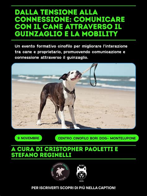 interazione tra proprietario e cane con gioco