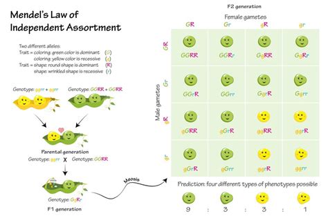 Diagramma della legge simbolica
