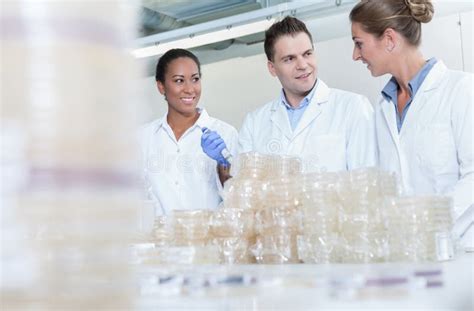 Gruppo di ricercatori che discutono