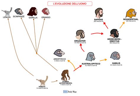 Grafico che mostra l'evoluzione del legame paziente-terapeuta