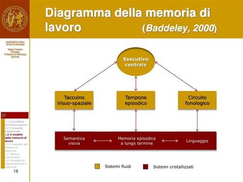 Diagramma della memoria di lavoro distribuita con componenti interne ed esterne