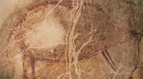 Pitture rupestri dal Borneo