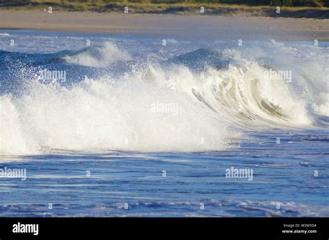 Paesaggio marino con onde che si infrangono sulla riva