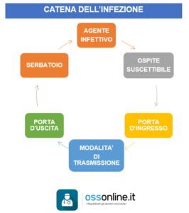 Diagramma che illustra la catena di prevenzione delle infezioni in un ospedale