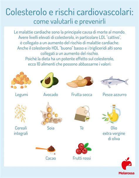 Infografica sui diversi livelli di colesterolo e i rischi associati