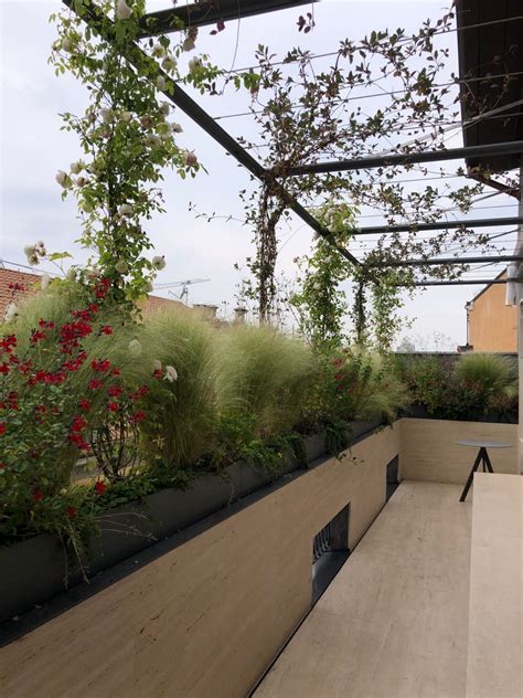 Edificio di una struttura sanitaria con aree verdi