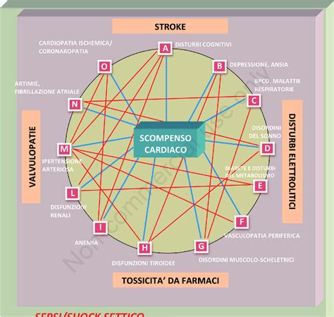 Diagramma che illustra la definizione di comorbidità con esempi di interconnessione tra diverse malattie.