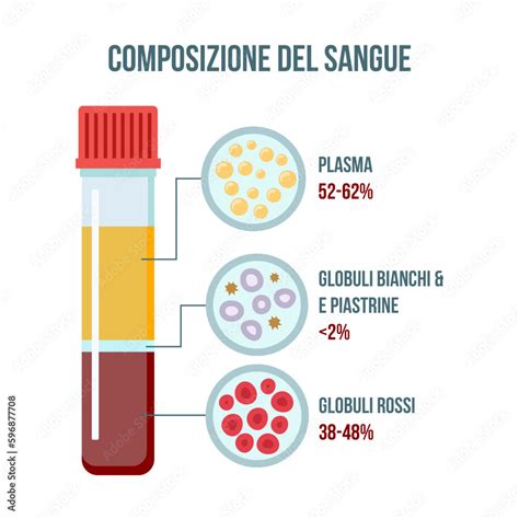 Schema dei componenti del sangue