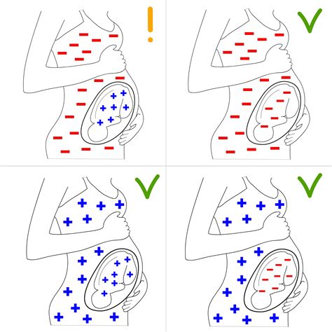 Rappresentazione schematica dell'incompatibilità Rh durante la gravidanza