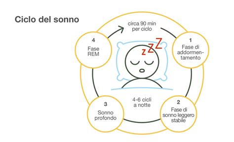 Diagramma dei cicli del sonno e fattori influenzanti