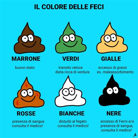 Illustrazione delle pulsioni freudiane (seno, feci, fallo) e degli oggetti parziali lacaniani (voce, sguardo)