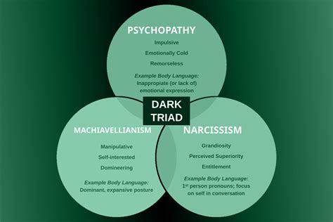 Infografica sulla Triade Oscura della Personalità