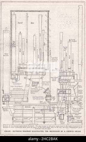 Diagramma che illustra il meccanismo della 