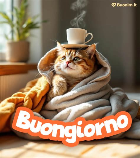 Collage di immagini di film con James Franco