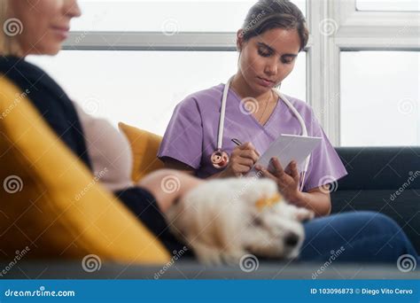Veterinario che parla con un proprietario di cane