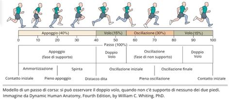 schema che illustra la differenza tra istinto e pulsione