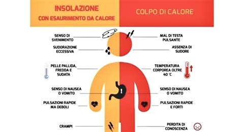 Infografica che illustra la sovrapposizione dei sintomi del caldo e dell'ansia