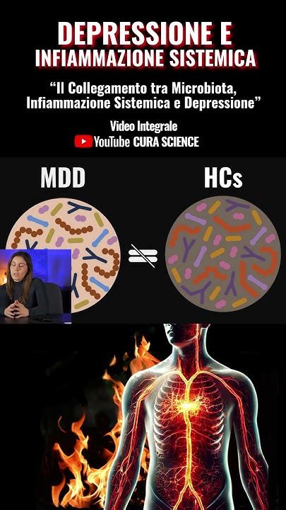 Schema che illustra il legame tra infiammazione e depressione