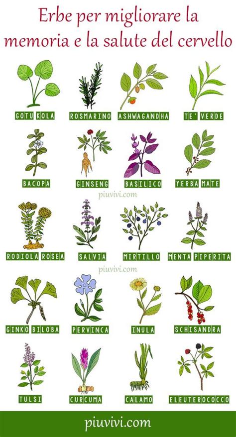 Erbe medicinali e rimedi naturali