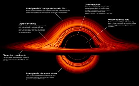 Diagramma che illustra il processo di eco-mappatura di un buco nero, mostrando il disco di accrescimento, il toro di polvere e il percorso della luce