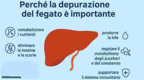 Illustrazione dei sintomi di un fegato affaticato