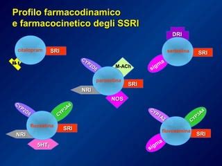 Diagramma che illustra le interazioni farmacologiche degli SSRI con FANS e anticoagulanti