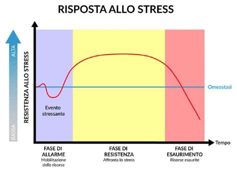 Schema del modello Stress-Vulnerabilità-Coping