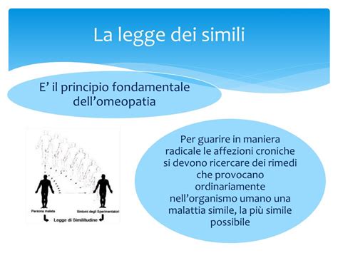 Diagramma che illustra la legge dei simili in omeopatia