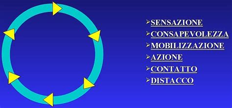 diagramma che illustra il ciclo di contatto nella Gestalt