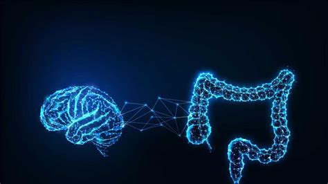 Illustrazione che mostra la connessione tra cervello e sistema digestivo