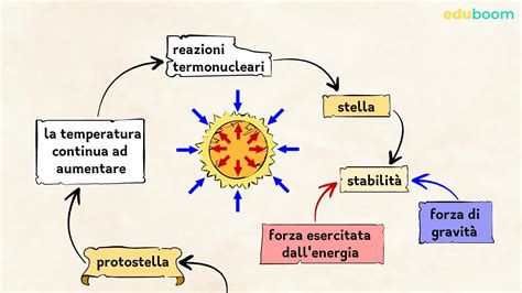 Diagramma che illustra il ciclo di nascita, morte e rinascita