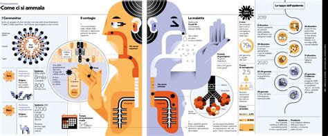 Infografica che illustra i diversi tipi di antidepressivi e il loro impatto sul sistema cardiovascolare