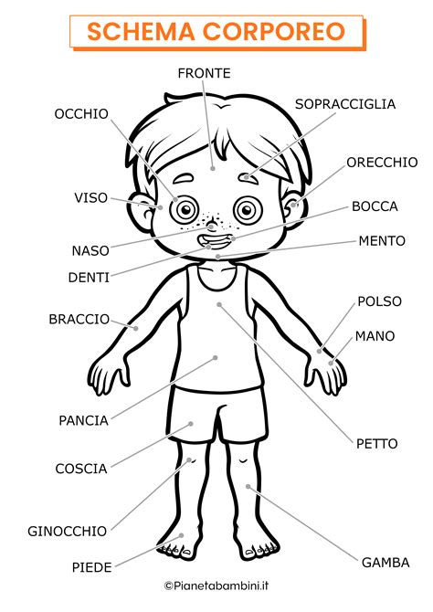 Illustrazione delle parti del corpo umano per bambini