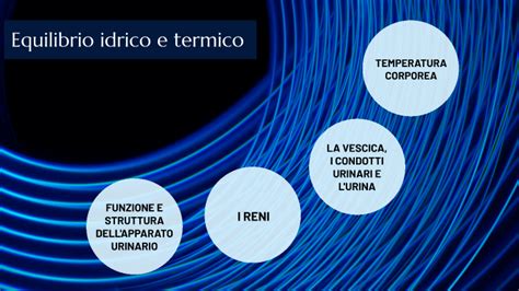 Grafico che illustra l'equilibrio idrico e i suoi effetti