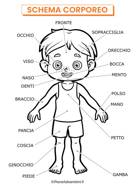 Schema corporeo in un disegno di figura umana