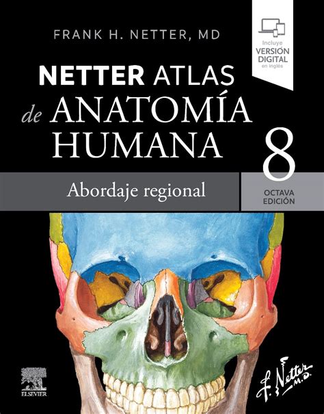 Illustrazione anatomica dettagliata di Frank Netter