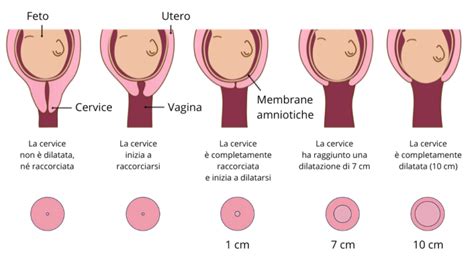 Illustrazione di un bambino durante la fase anale