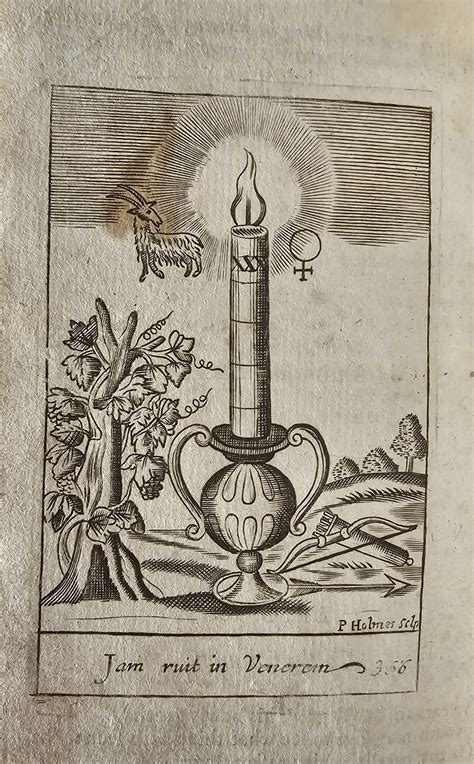simbolo dell'Ermafrodito