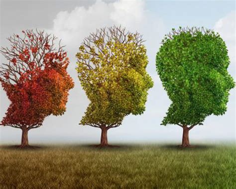 Infografica che elenca i principali sintomi del decadimento cognitivo lieve