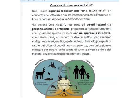 Schema che illustra le interconnessioni tra psiche umana, ambiente sociale e ambiente naturale