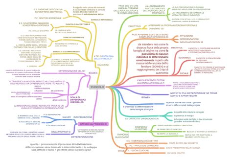 Infografica che illustra il processo di individuazione di un alunno BES da parte della scuola.