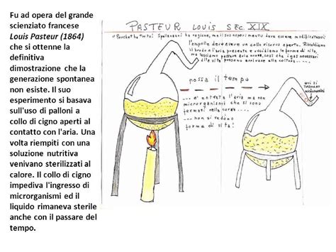 Diagramma dell'esperimento di Pasteur con i colli di cigno