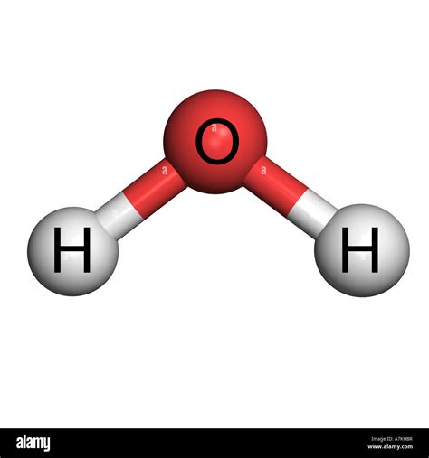 Modello molecolare di acqua (H₂O)