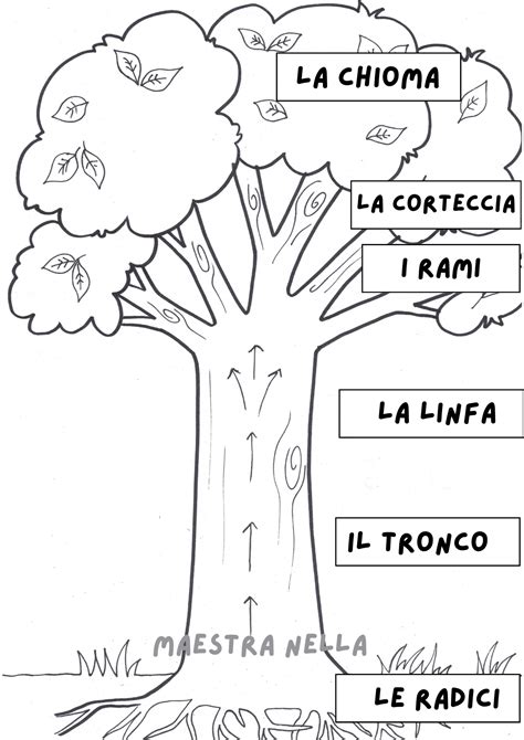 Illustrazione concettuale della personalità come un albero con radici (esperienze infantili), tronco (difese) e rami (relazioni interpersonali).