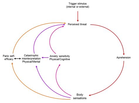 Diagram illustrating the cognitive model of panic disorder and agoraphobia